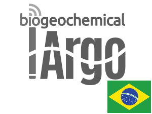 Biogeochemical Argo BRAZIL