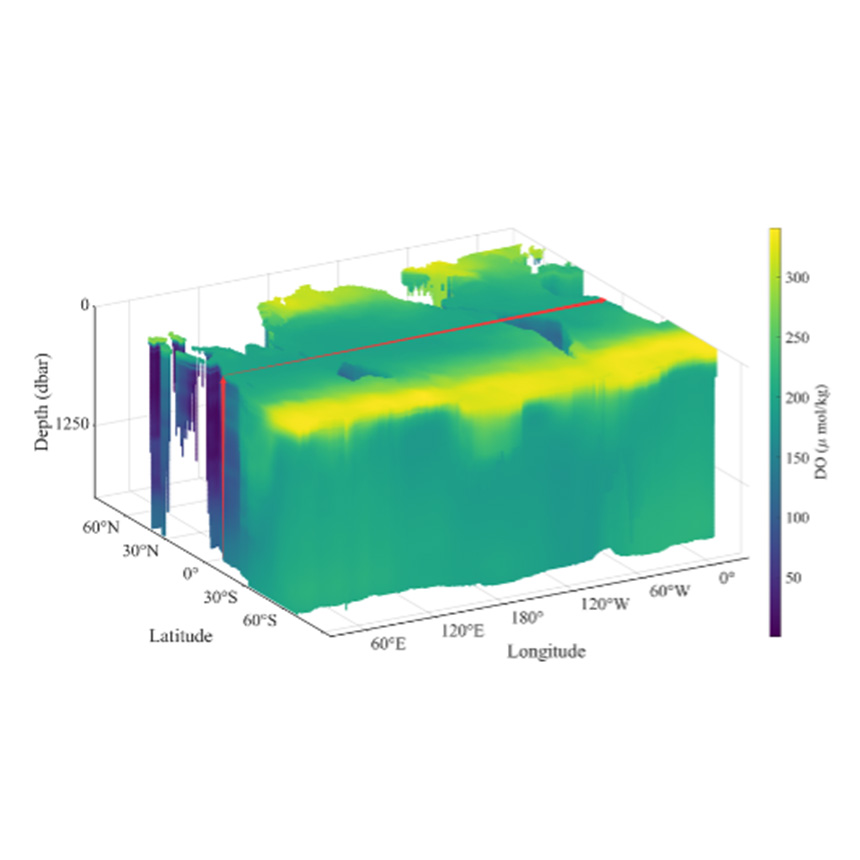 G4D-DOC: Global Ocean Dissolved Oxygen Concentration Gridded Dataset