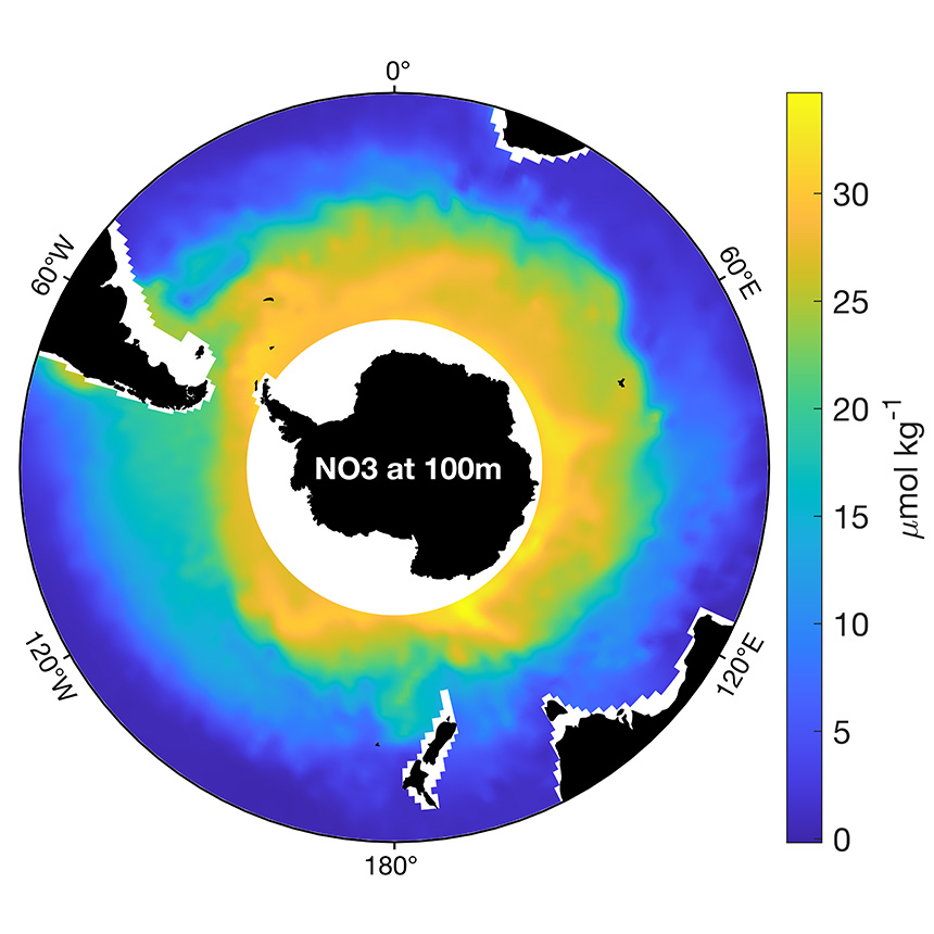 SONE : Southern Ocean Nitrate Estimates